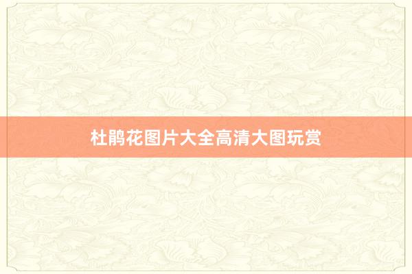 杜鹃花图片大全高清大图玩赏