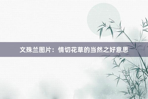 文殊兰图片：情切花草的当然之好意思