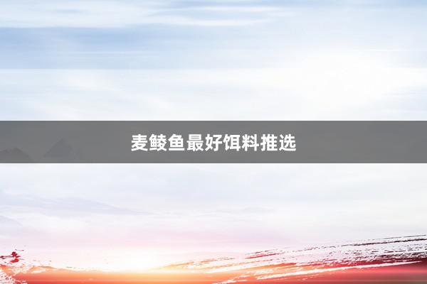 麦鲮鱼最好饵料推选
